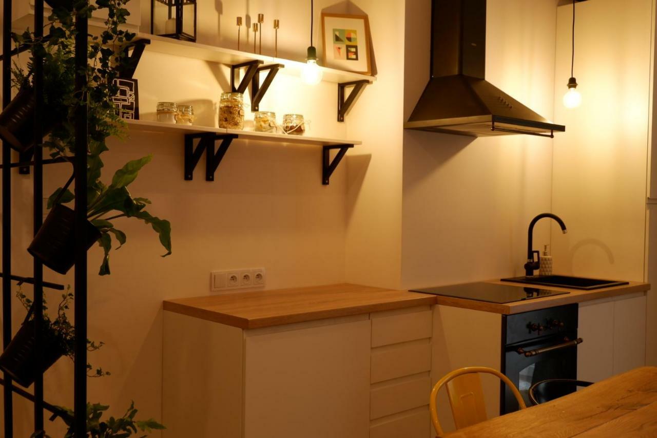 Singer Apartment Old Town クラクフ エクステリア 写真