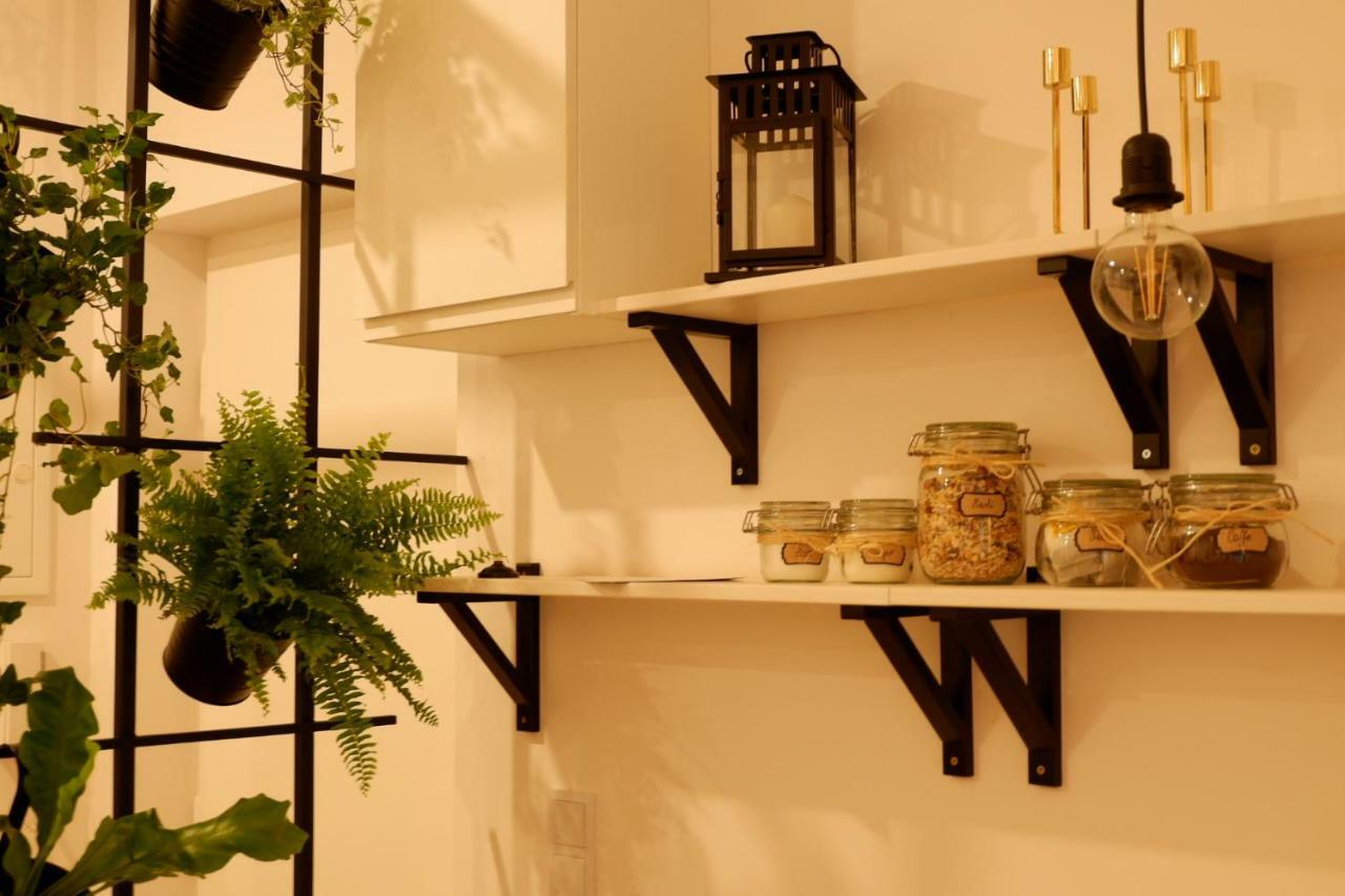 Singer Apartment Old Town クラクフ エクステリア 写真